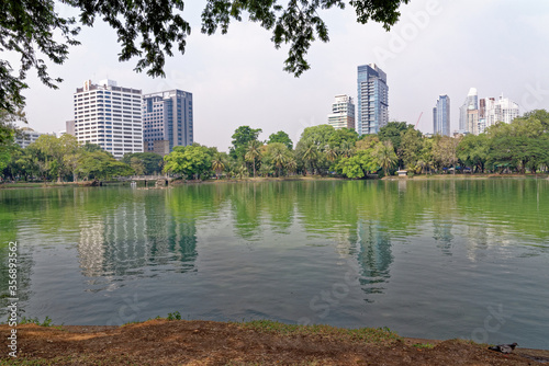 Lumphini Park  - Bangkok  Thailand