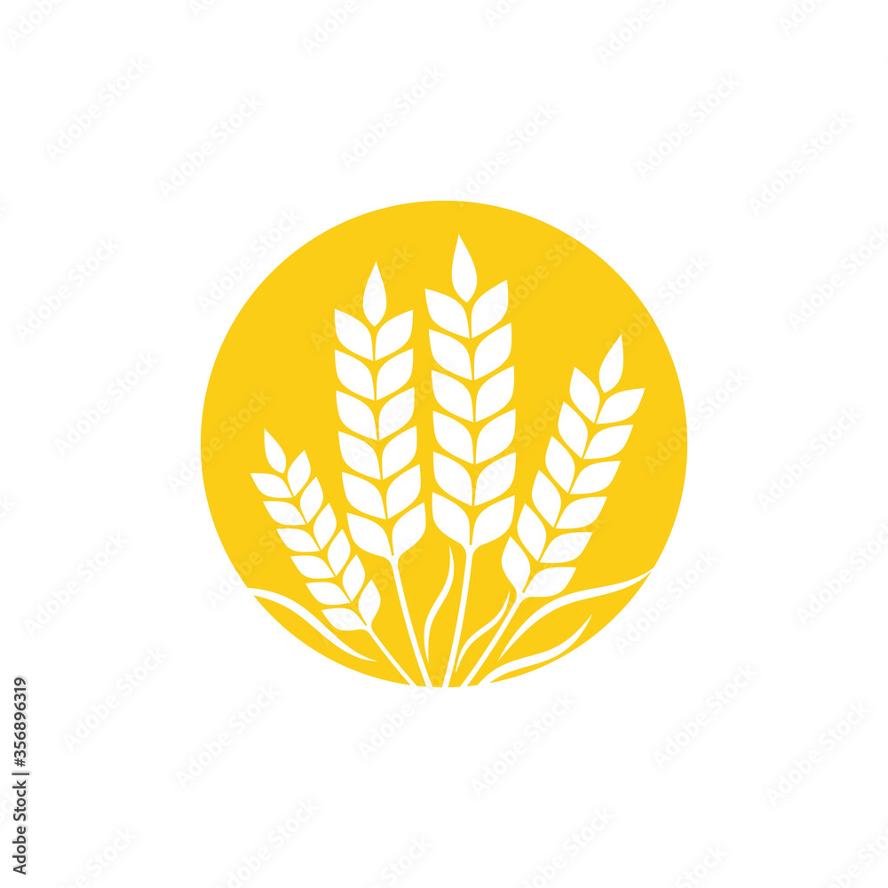 Agriculture wheat Template vector icon design