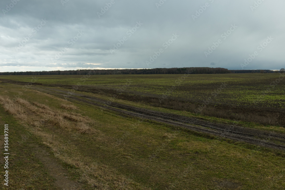 Agricultural field on a cloudy evening. Field landscape.
