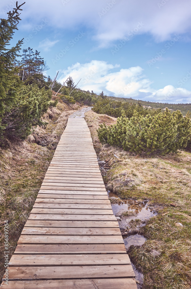 Mountain landscape in Karkonosze National Park, trail to Szrenica peak, color toned picture, Poland.