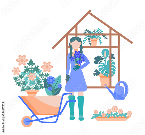 A young girl holding a flower in a pot stands against the background of a greenhouse. Next to the woman is a Garden cart with flowers and a watering can.  Vector illustration in flat style.