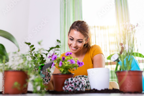 Work in the garden  planting pots. Woman gardening in pots. Plant care. Gardening is more than hobby.Lovely housewife with flower in pot and gardening set. Planting home plants indoors