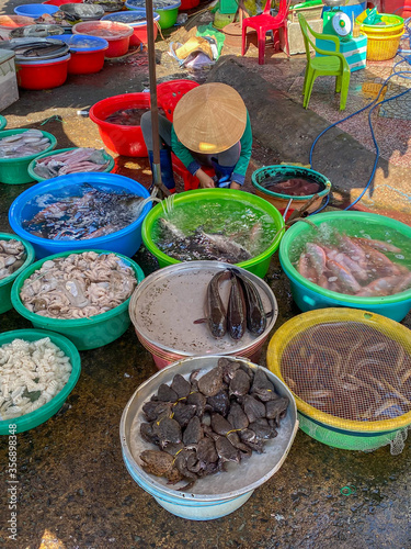 Assortment of seafood for sale at fish market in Vietnam