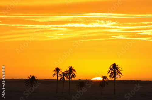 Sunrise in the desert near Douz in Kebili  Tunisia