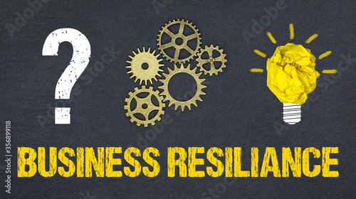 Business Resiliance photo