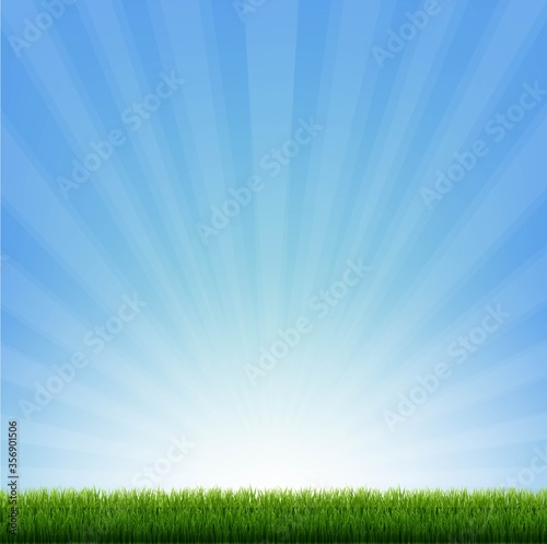 Green Grass Border With Blue Sunburst With Gradient Mesh, Vector Illustration