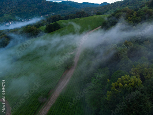 Amazing inspirational epic drone footage of deep and wild green pine forest high in mountains or european alps, protected national park or reserve.