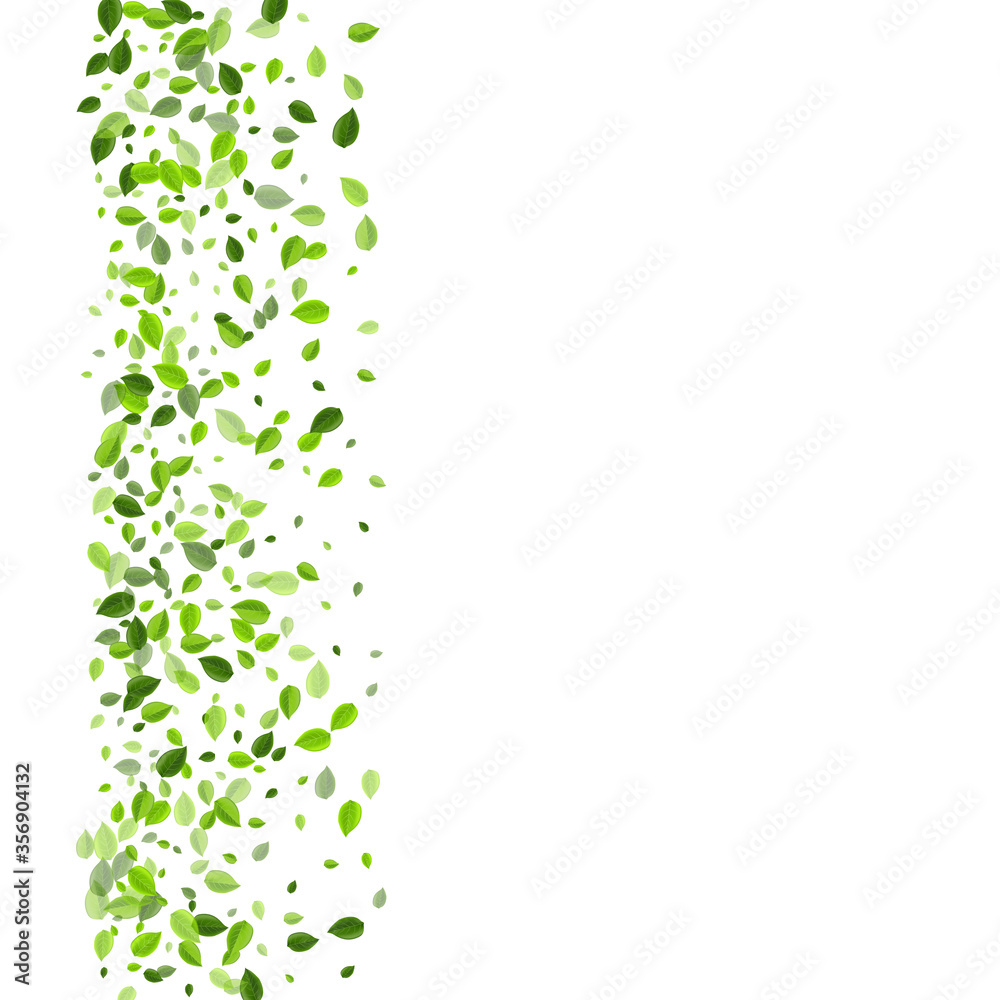 Olive Greens Transparent Vector Concept. Falling Olive Greens Transparent Vector Concept. Falling