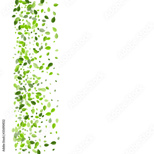 Olive Greens Transparent Vector Concept. Falling 
