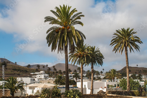 Pictures of the two main town (one the capital) in Lanzarote, Canary Island: Haria and Teguise, both with old white architecture and simple life. Typical are the  white houses with green windows  photo