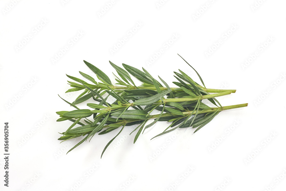 Fresh rosemary isolated on white background. Aromate herb.