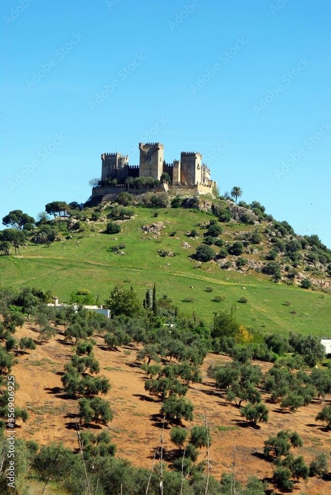 View of the Castle on top of the hill, Almodovar del Rio, near Cordoba, Andalusia, Spain.