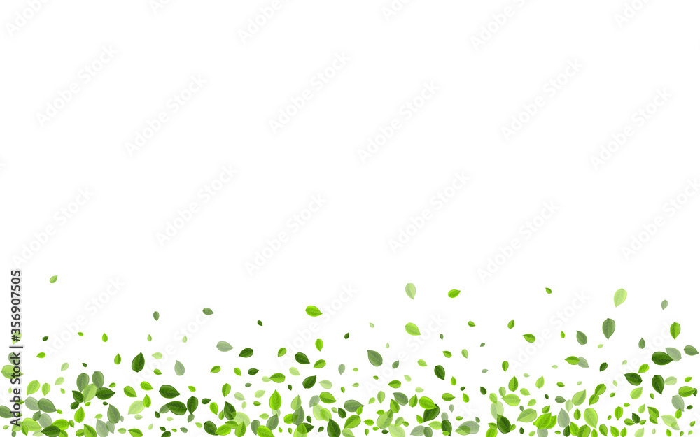 Lime Greens Falling Vector Branch. Transparent Lime Greens Falling Vector Branch. Transparent