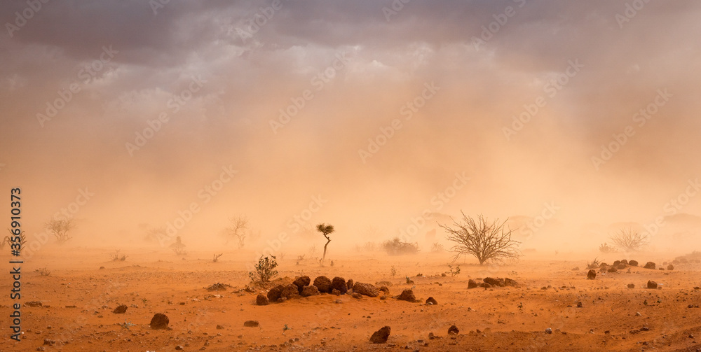 Climate change in Africa concept Yellow orange dusty sandstorm with