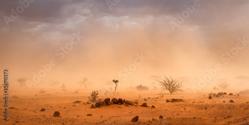 Climate change in Africa concept: Yellow orange dusty sandstorm with rocks, sand, bushes and dark clouds. In  Somalia and Ethiopia drought impacts the environment and leads to migration and refugees. photo