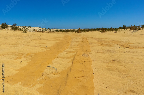 The Pinnacles desert. Car ruts on the sand of the desert. Western Australia WA, Australia, near Perth capital city.