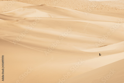 tiny human walking in the sea of sands