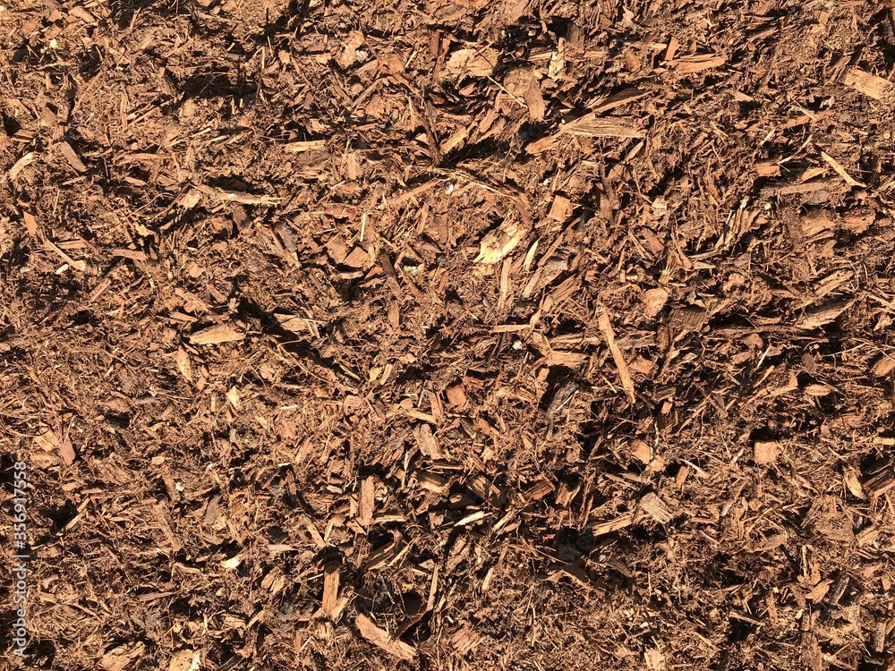 Moist forest floor mulch texture Moist forest floor mulch texture