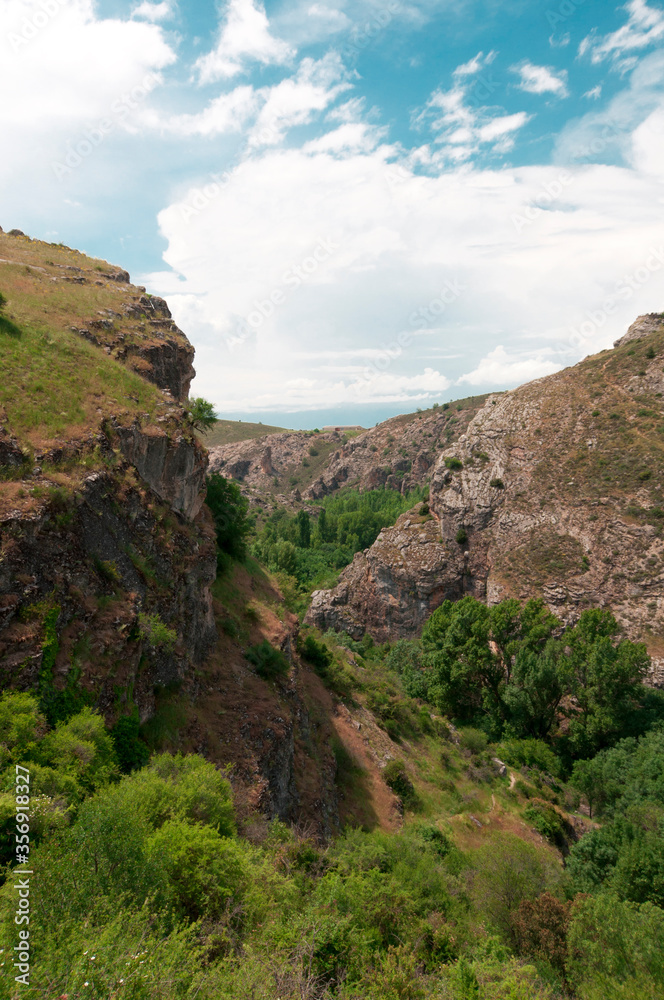 Fototapeta premium paisaje con verdes arboles y acandilados 