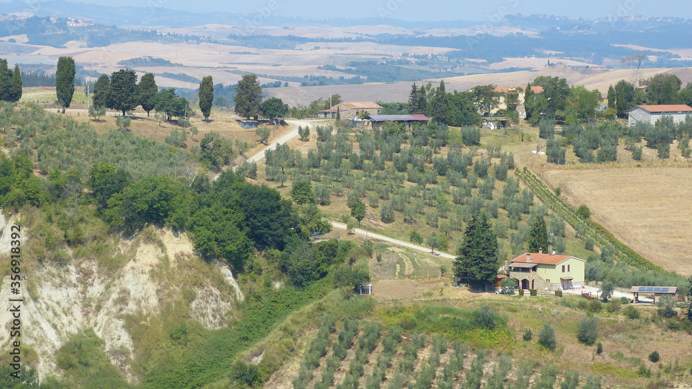 typisches Landschaftsbild der Toskana im Sommer mit Hügellandschaft, Landgut, Olivenhainen und Zypressen