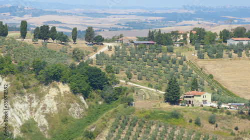 typisches Landschaftsbild der Toskana im Sommer mit Hügellandschaft, Landgut, Olivenhainen und Zypressen © turtles2
