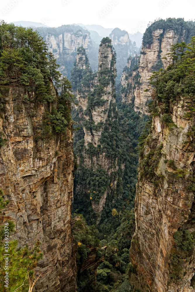 Karst mountains widen out of the jungle in zhangjiajie