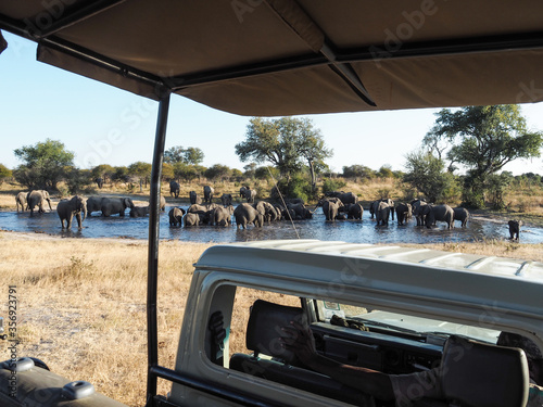 Elefanten am Wasser in Simbabwe