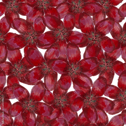 red flower background. Five petals watercolor flowers seamless pattern.