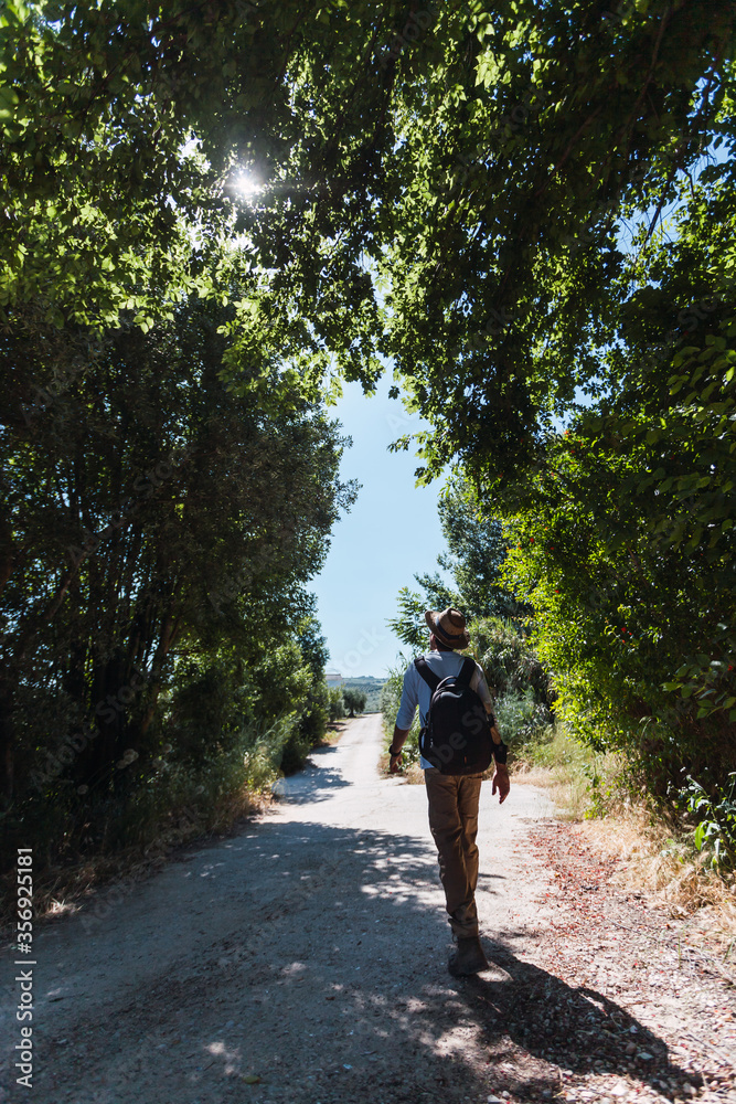 Fototapeta premium Young man with backpack and hat walking on a path in the forest. Selective focus.