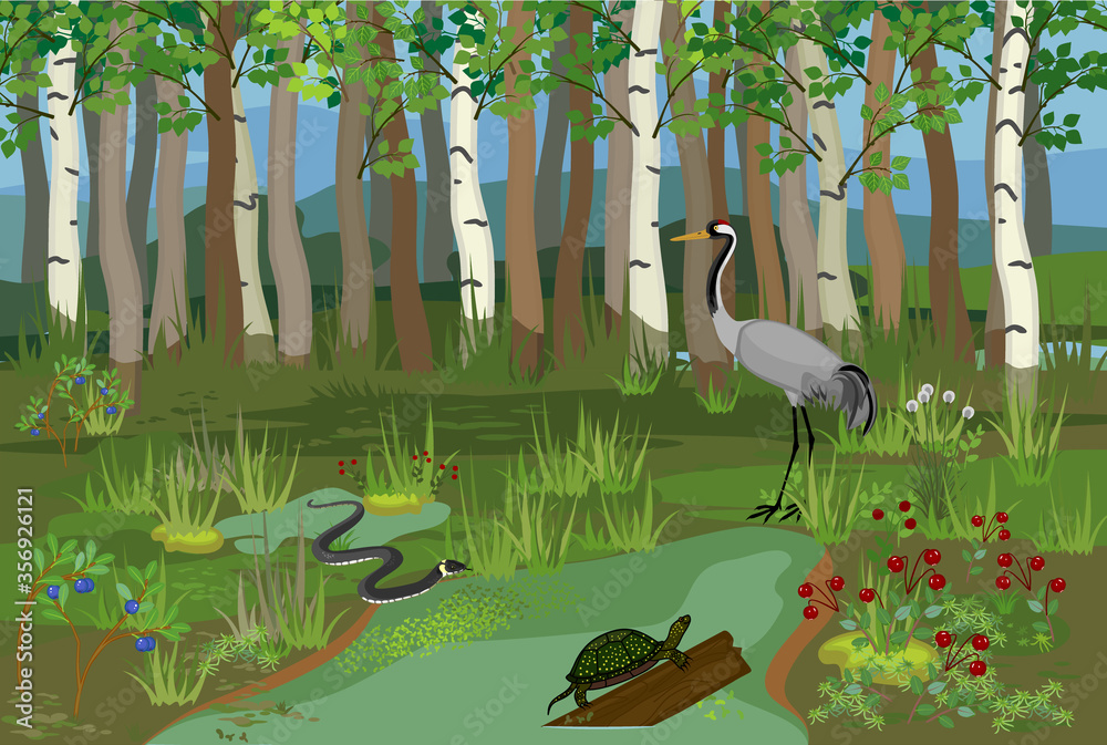 swampland animals