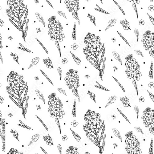 Rapeseed Flowers with Pod, Seeds  in hand draw style. Seamless vector pattern. Black and white 