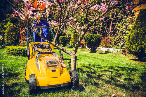 Mowing the grass. A man mows the grass with an electric mower. The concept of working in the garden and caring for the beauty of the garden. The gardener mows the grass with a battery mower.