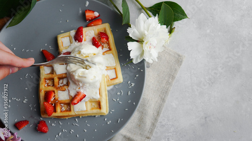 Belgian waffles on a plate with ice cream and strawberries and copy space