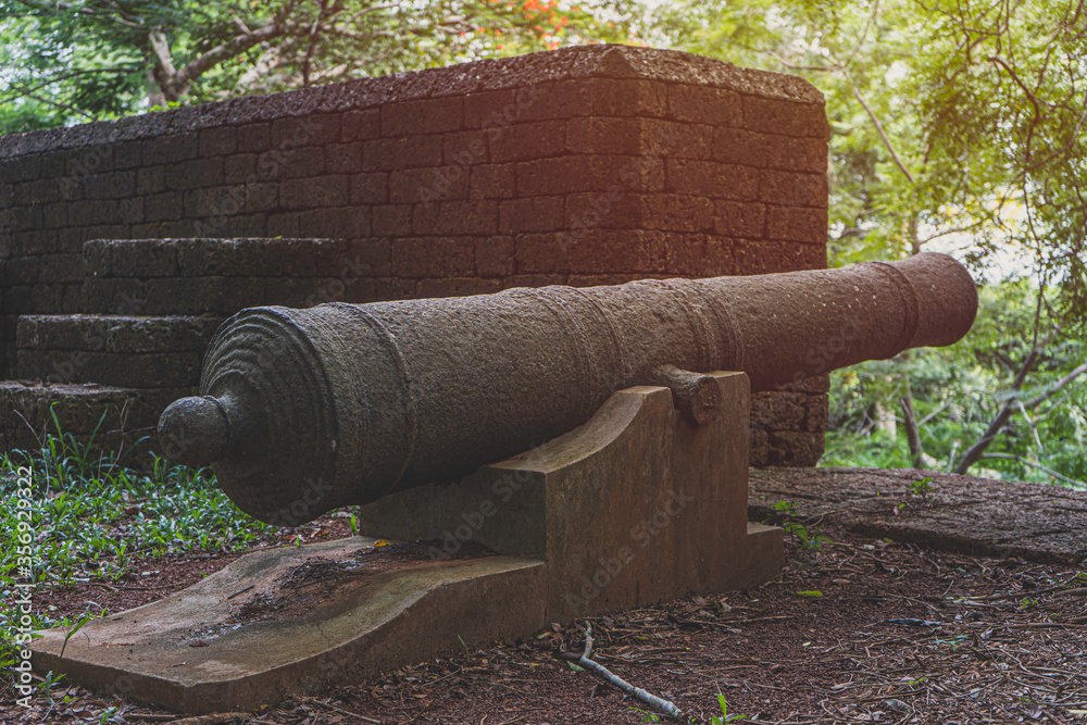 Ancient cannon on the fortress