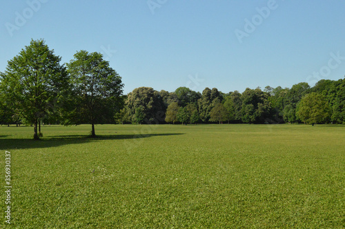 Bright sunny day in Munich park