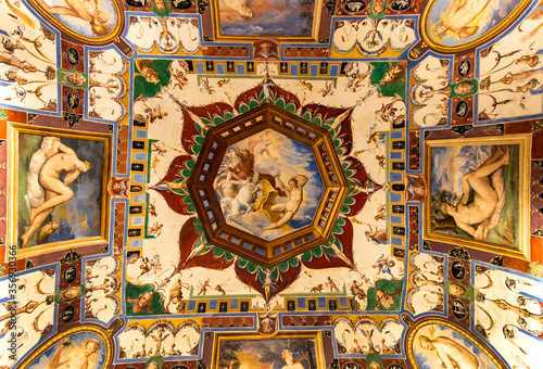 decoration of the vault of the castle palace, close up