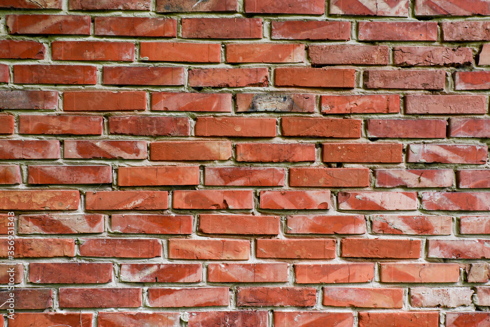 Fototapeta premium Mur