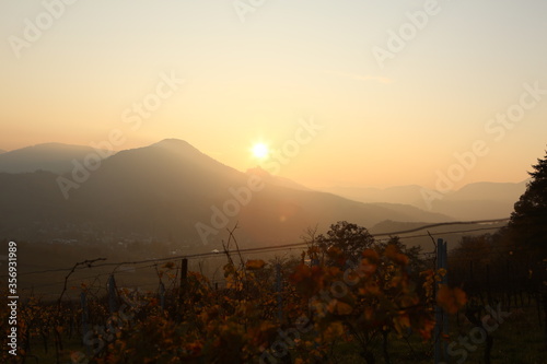 Sunset sunrise palatine forest hill nice valley soft sunlight