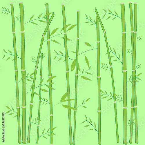 Fototapeta Naklejka Na Ścianę i Meble -  bamboo with branches and moldings on a green background