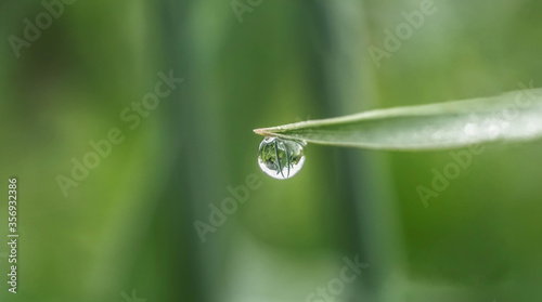 a drop of morning dew on the tip of the grass