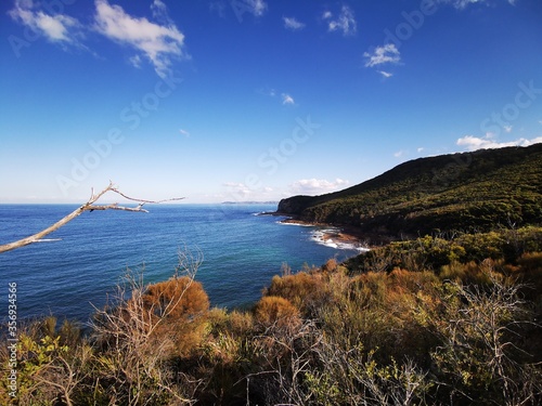 Putty Beach, Bouddi Coastal Walk, Bouddi National Park, Killcare Heights, NSW, Australia photo