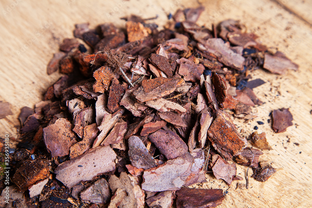 Dry pine bark for transplanting orchids of other plants. The substrate for orchids. Soil for mulching. Orchid transplant at home. Preparing for a houseplant transplant. Dry pine bark for transplanting orchids of other plants. The substrate for orchids. Soil for mulching. Orchid transplant at home. Preparing for a houseplant transplant.