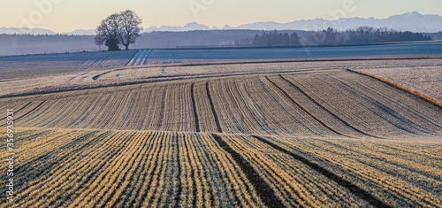 agriculture landscape in early spring photo