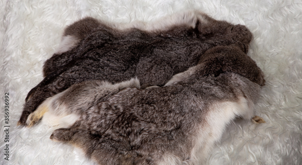 rabbit and hare skins lying on a white textile background