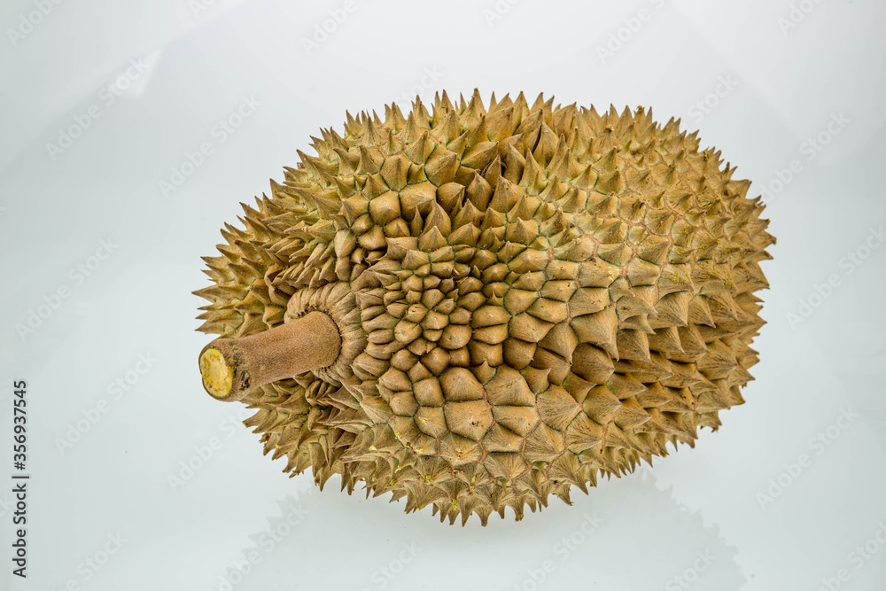 King of fruits, durian on white background King of fruits, durian on white background