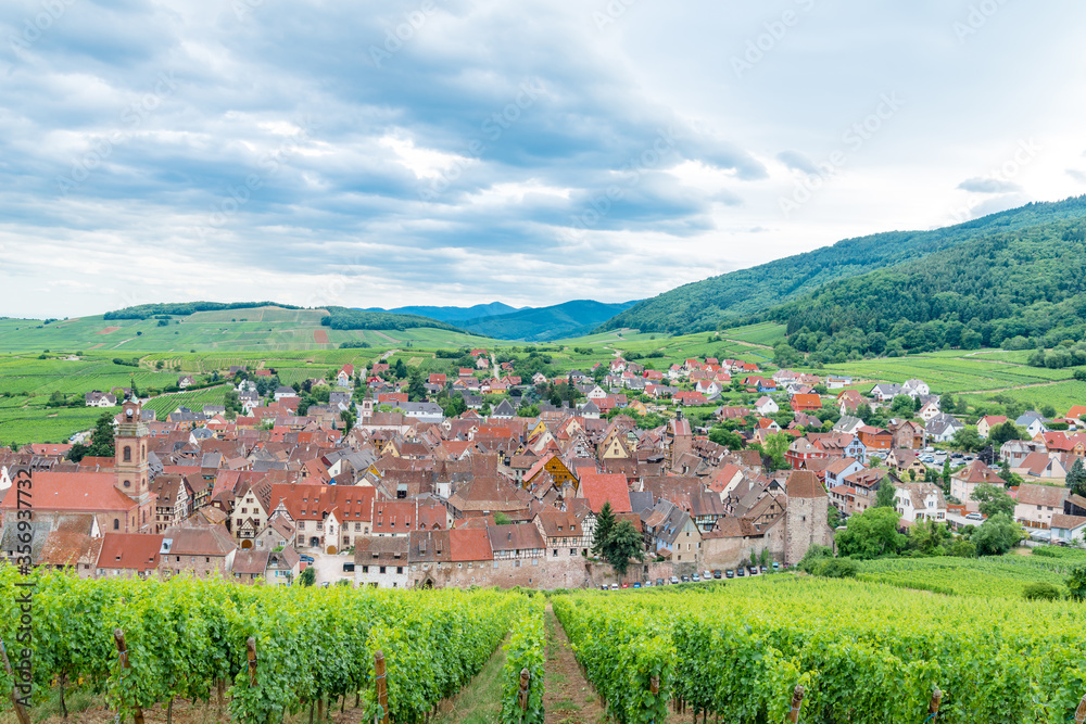 Alsace village, vineyard, Riquewhir, France, Europe, Automn