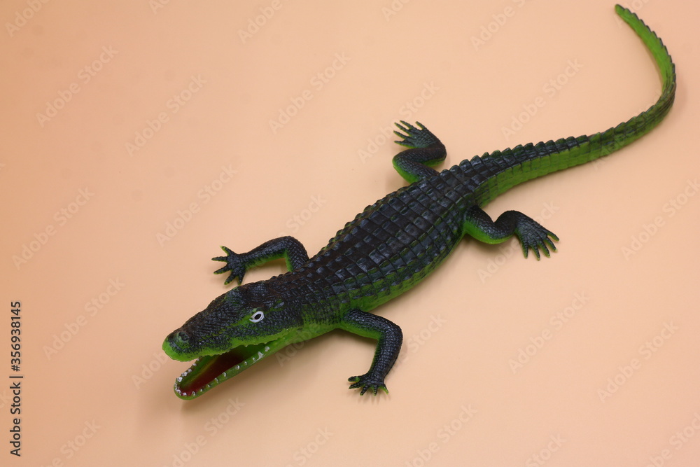 Naklejka premium lizard on a branch