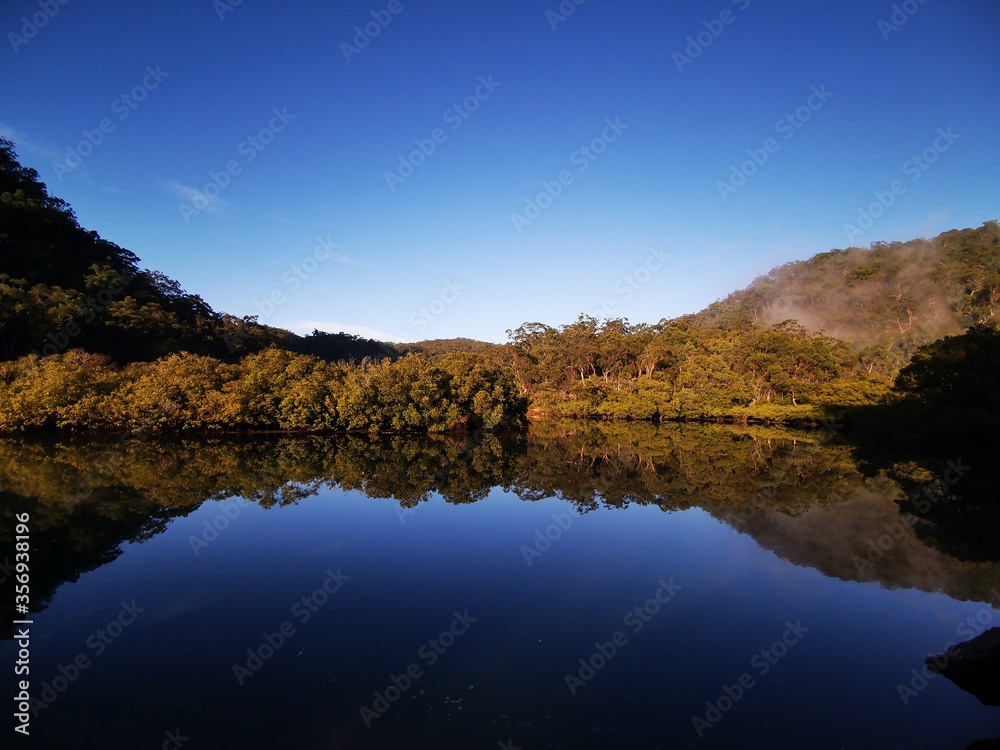 Mangrove Boardwalk, Cockle Creek, Bobbin Head, Ku-ring-gai Chase National Park, NSW, Australia