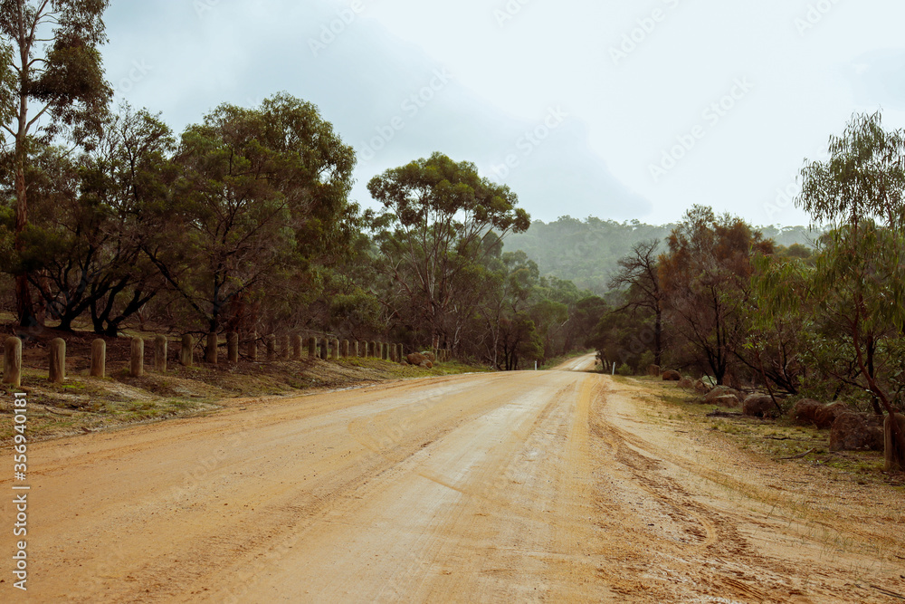 dirt road through a misty forest in you yangs national park