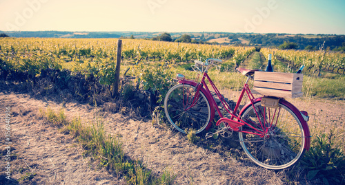 Vieux vélo rouge du viticulteur dans les vignobles en été.